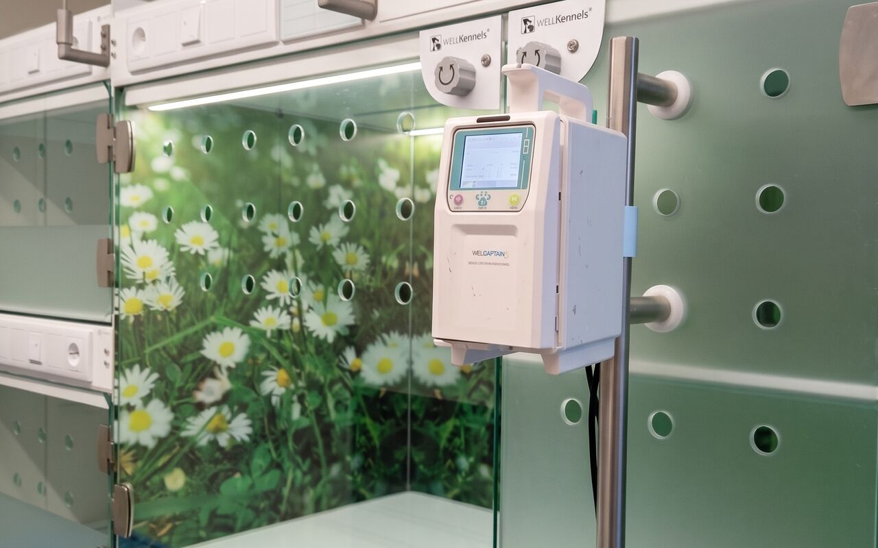 Hospitalisatiebox voor katten in de praktijk VETCORNER